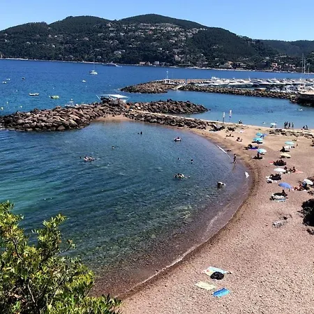 Avec Piscines