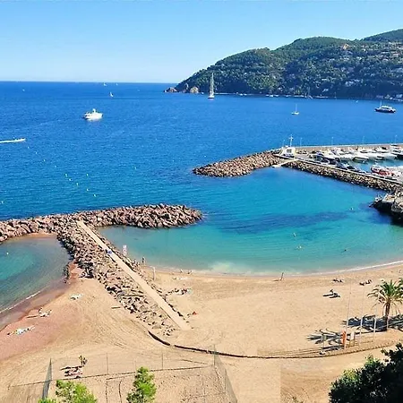 Avec Piscines *